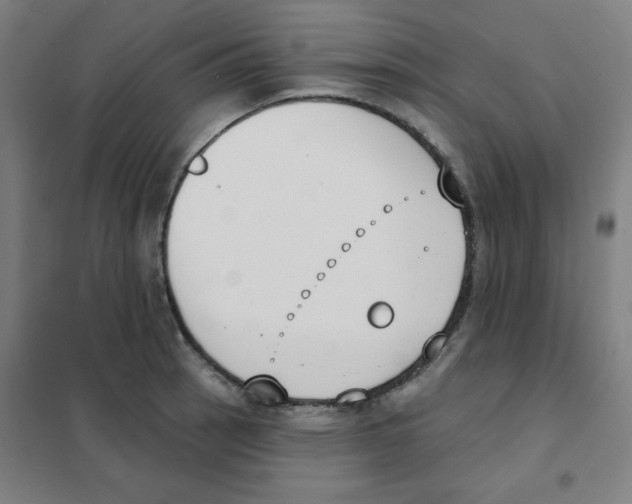 X0000101401137200808041035