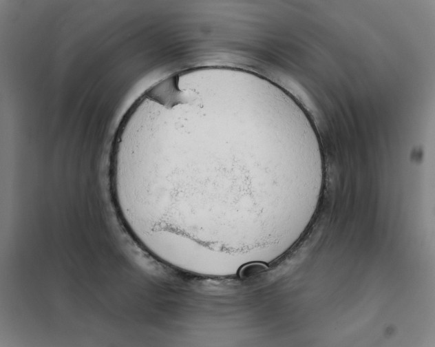 X0000101401138200808041035