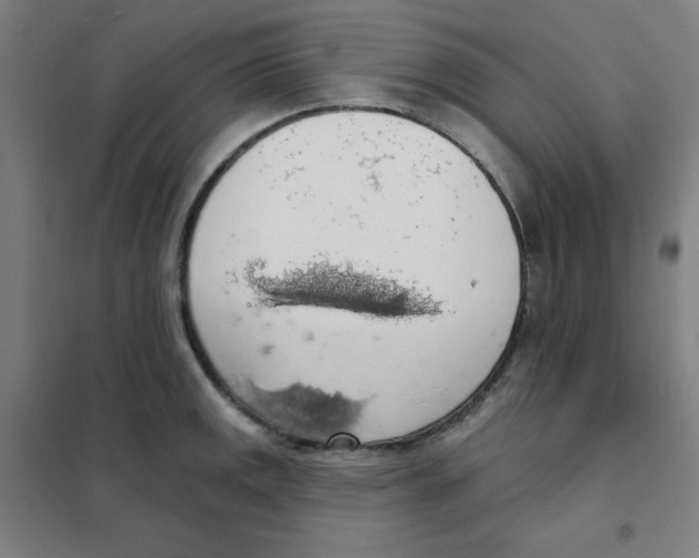 X0000101401141200808041035