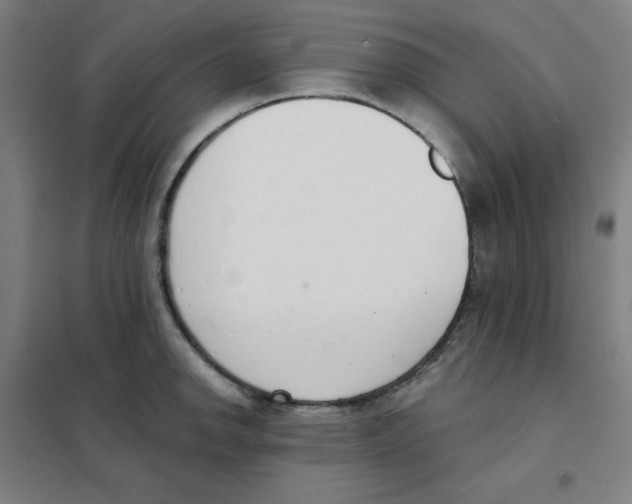 X0000101401142200808041035