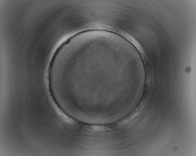 X0000101401144200808041035