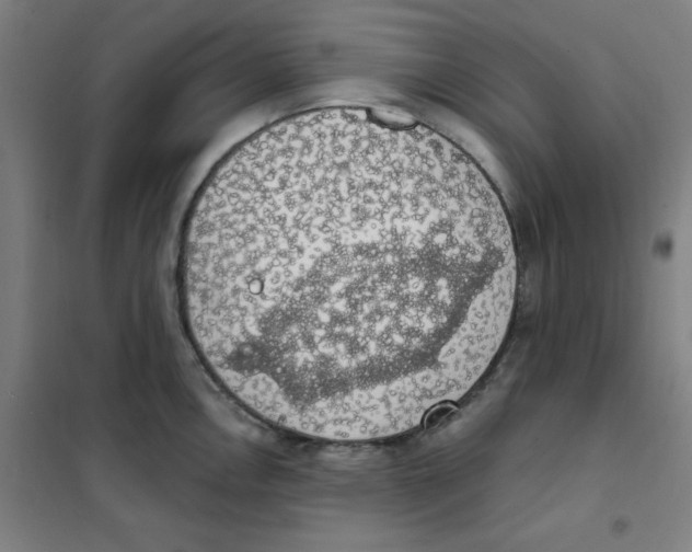 X0000101401146200808041035