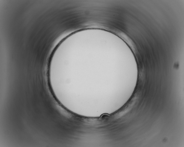 X0000101401149200808041035