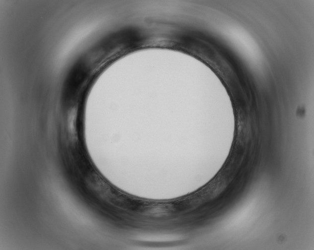 X0000101401150200808041035