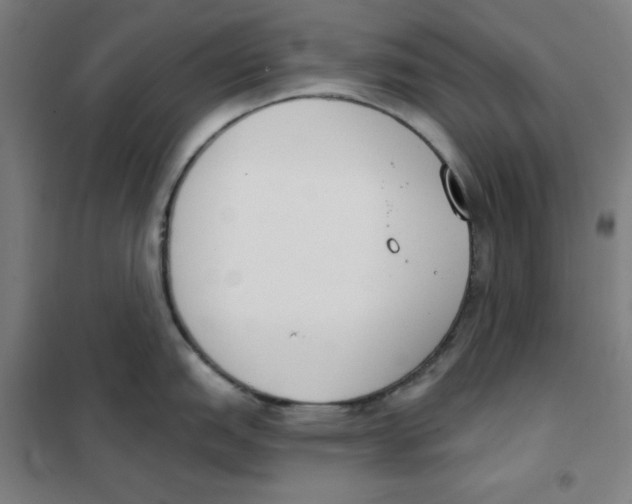 X0000101401151200808041035