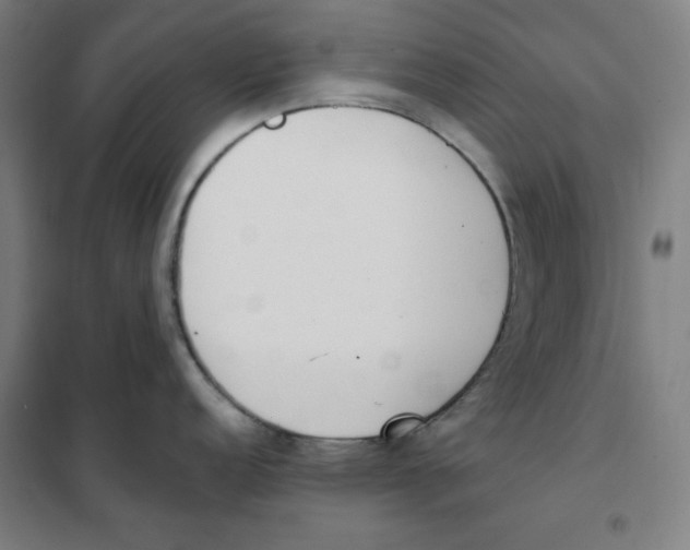 X0000101401152200808041035