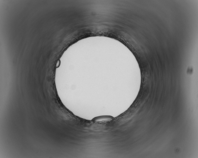 X0000101401153200808041034