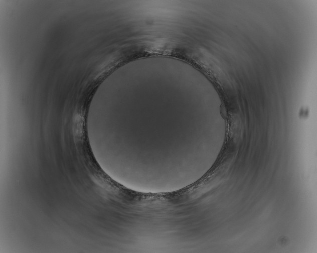 X0000101401154200808041034