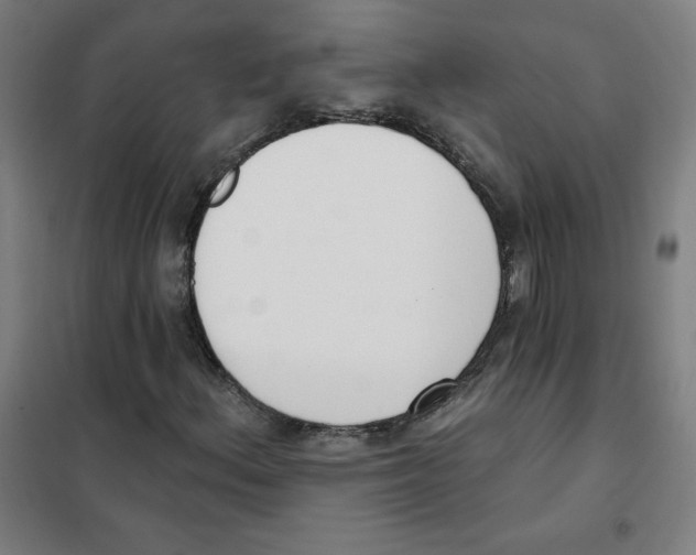 X0000101401156200808041034