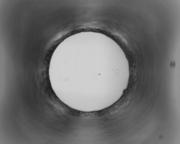 X0000101401159200808041034