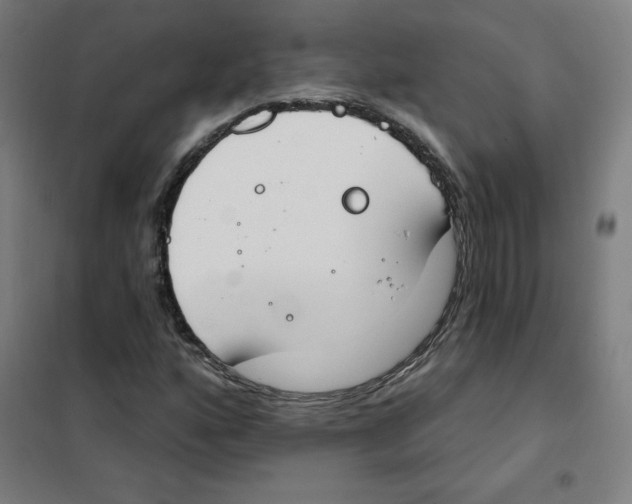 X0000101401160200808041034