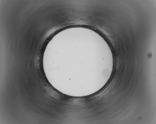 X0000101401163200808041034