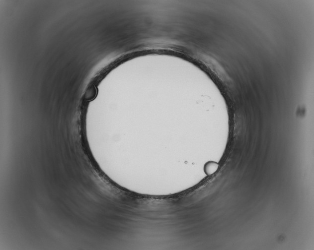 X0000101401164200808041034