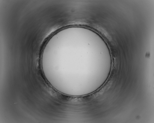 X0000101401165200808041034