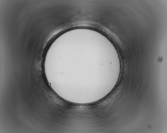 X0000101401166200808041034