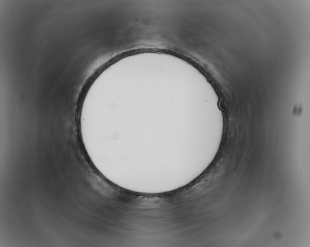 X0000101401168200808041034