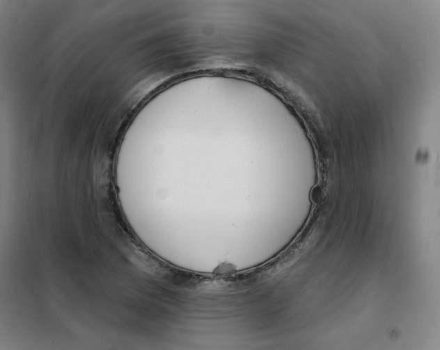 X0000101401169200808041034