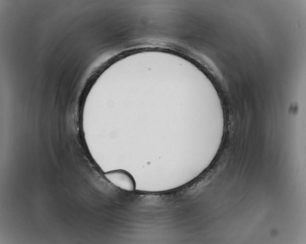 X0000101401172200808041034