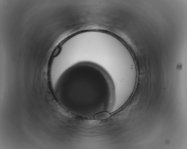 X0000101401173200808041034