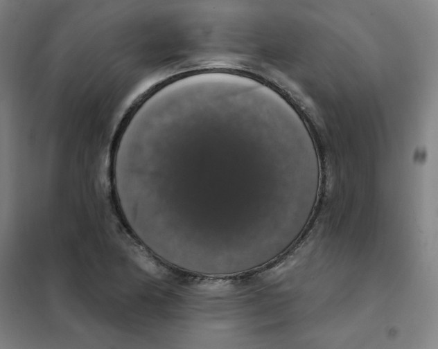 X0000101401174200808041034