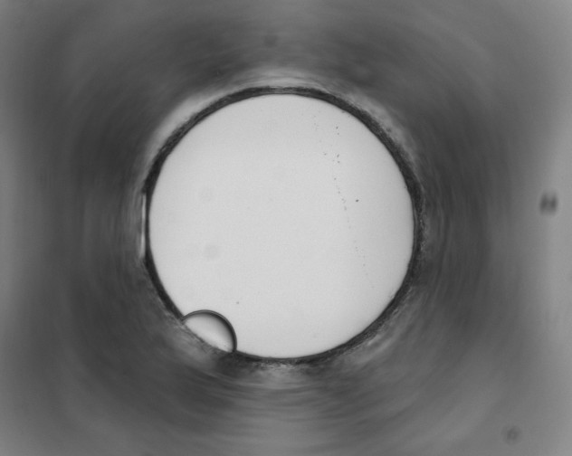 X0000101401175200808041034