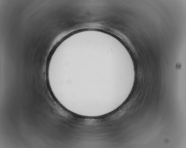 X0000101401176200808041034