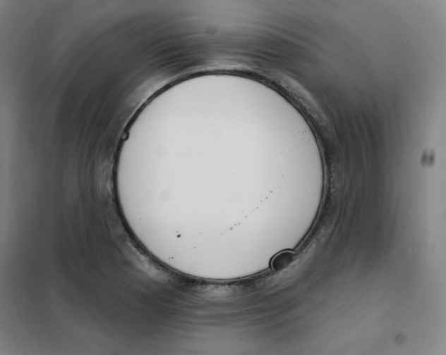 X0000101401177200808041034