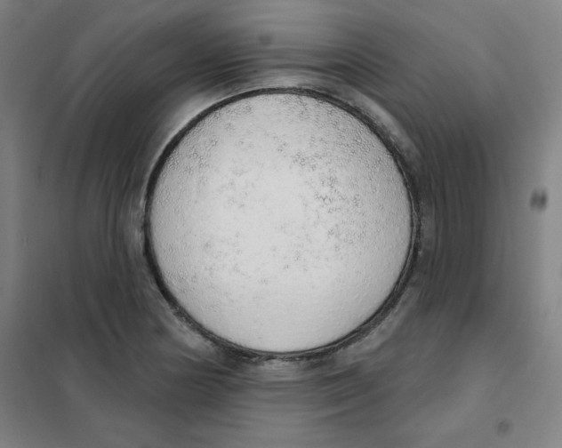 X0000101401178200808041034