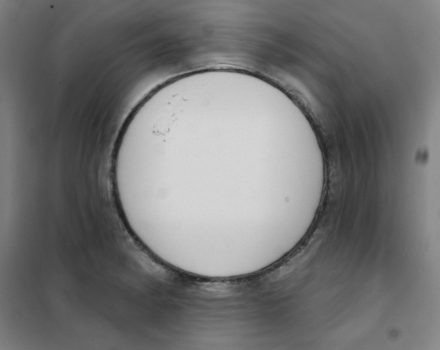 X0000101401182200808041034