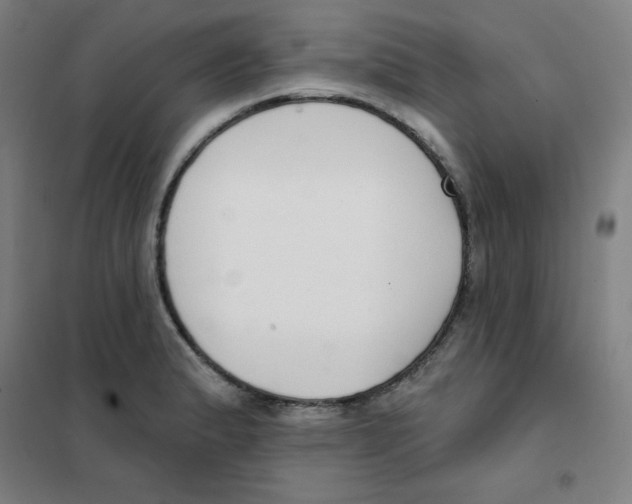 X0000101401183200808041034