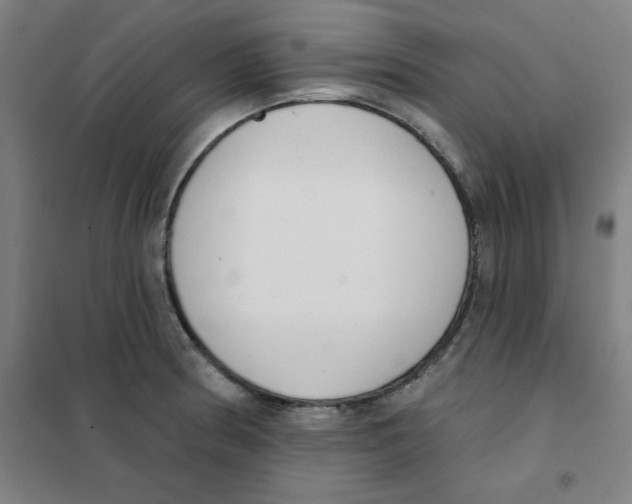 X0000101401186200808041034