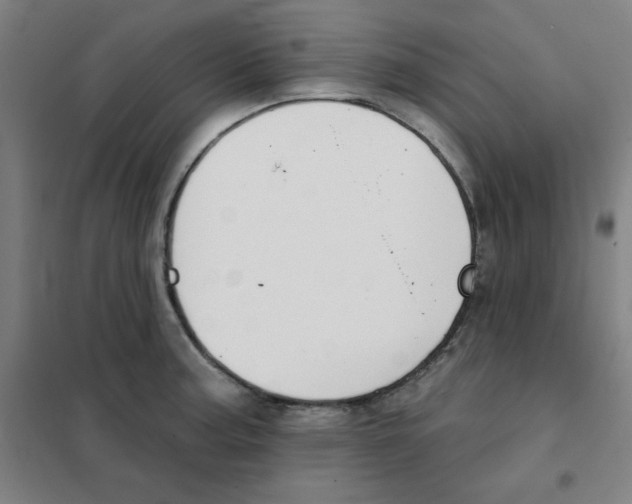 X0000101401187200808041034