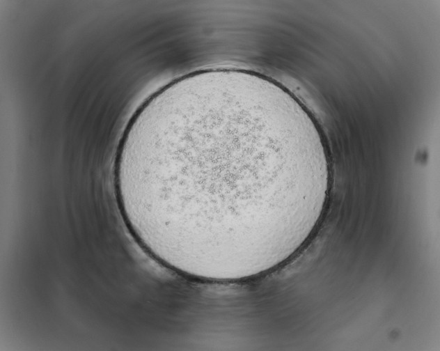 X0000101401189200808041034