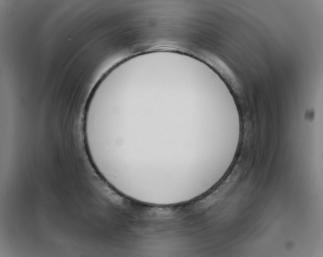 X0000101401190200808041033