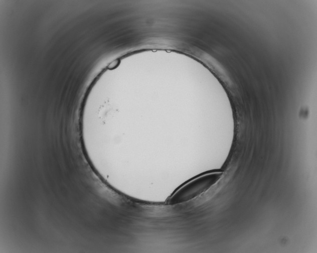 X0000101401192200808041033