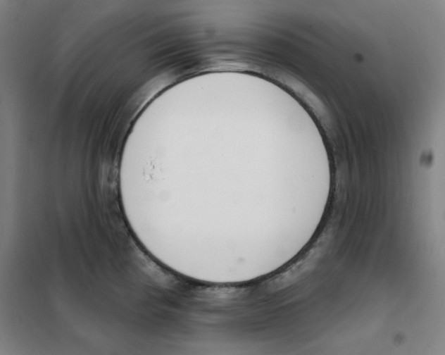 X0000101401193200808041033