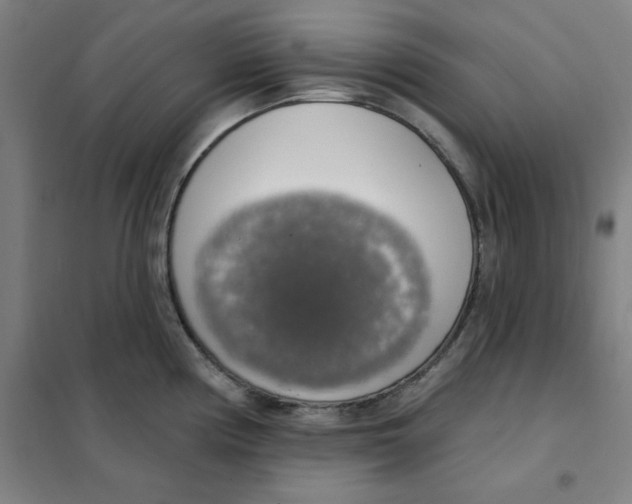 X0000101401194200808041033