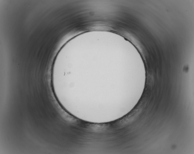 X0000101401195200808041033