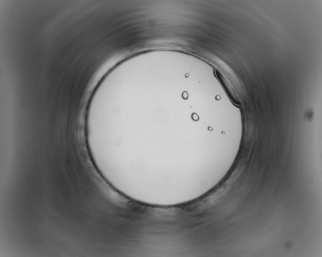 X0000101401196200808041033