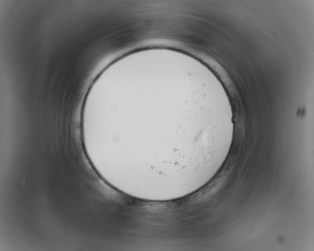 X0000101401199200808041033