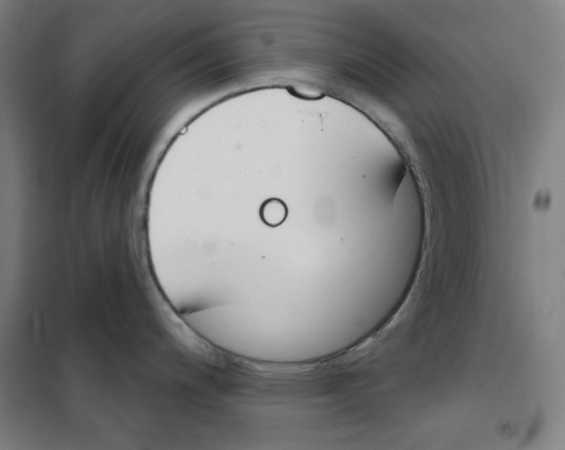 X0000101401200200808041033