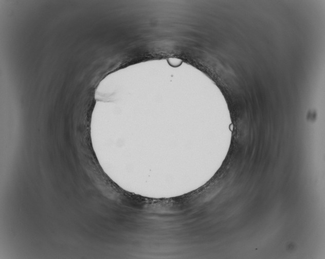 X0000101401201200808041033