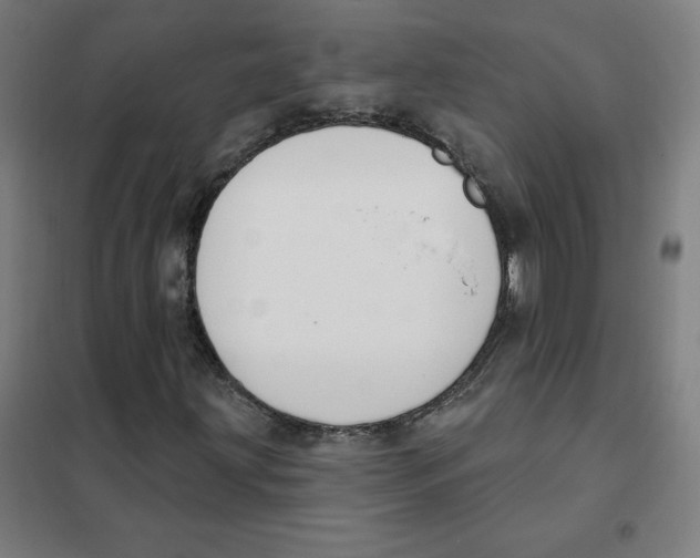 X0000101401203200808041033