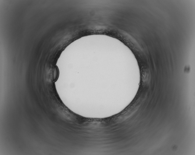 X0000101401204200808041033