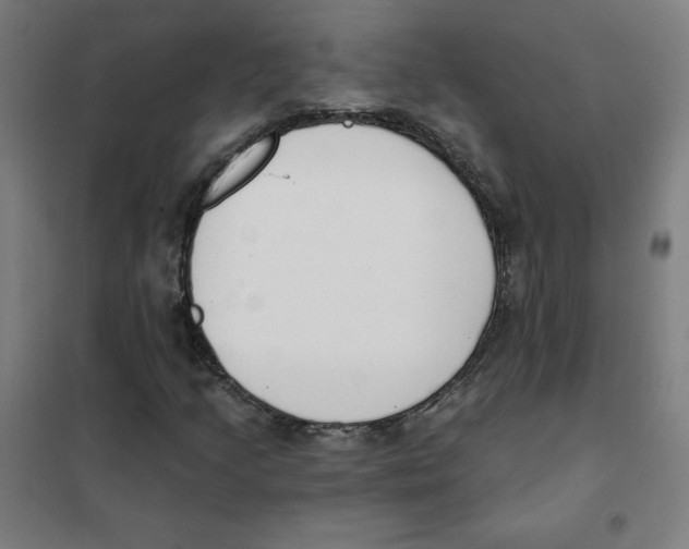 X0000101401205200808041033