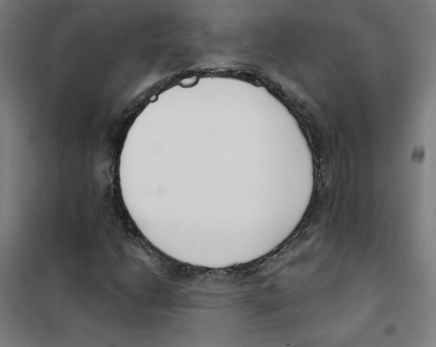 X0000101401206200808041033