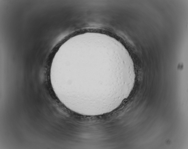 X0000101401208200808041033