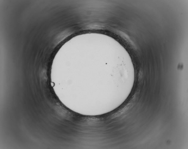 X0000101401209200808041033