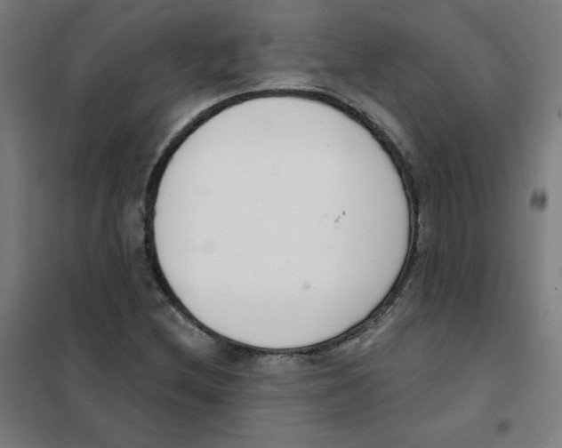 X0000101401212200808041033