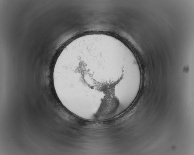 X0000101401213200808041033